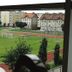 Sonstige