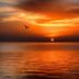 Sonstige