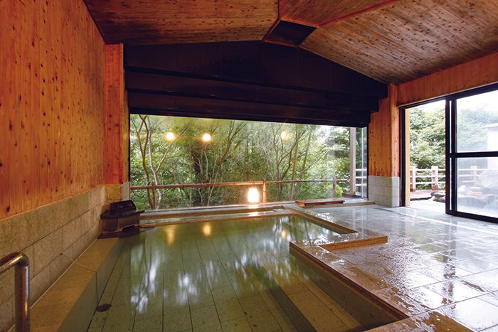 Wellness