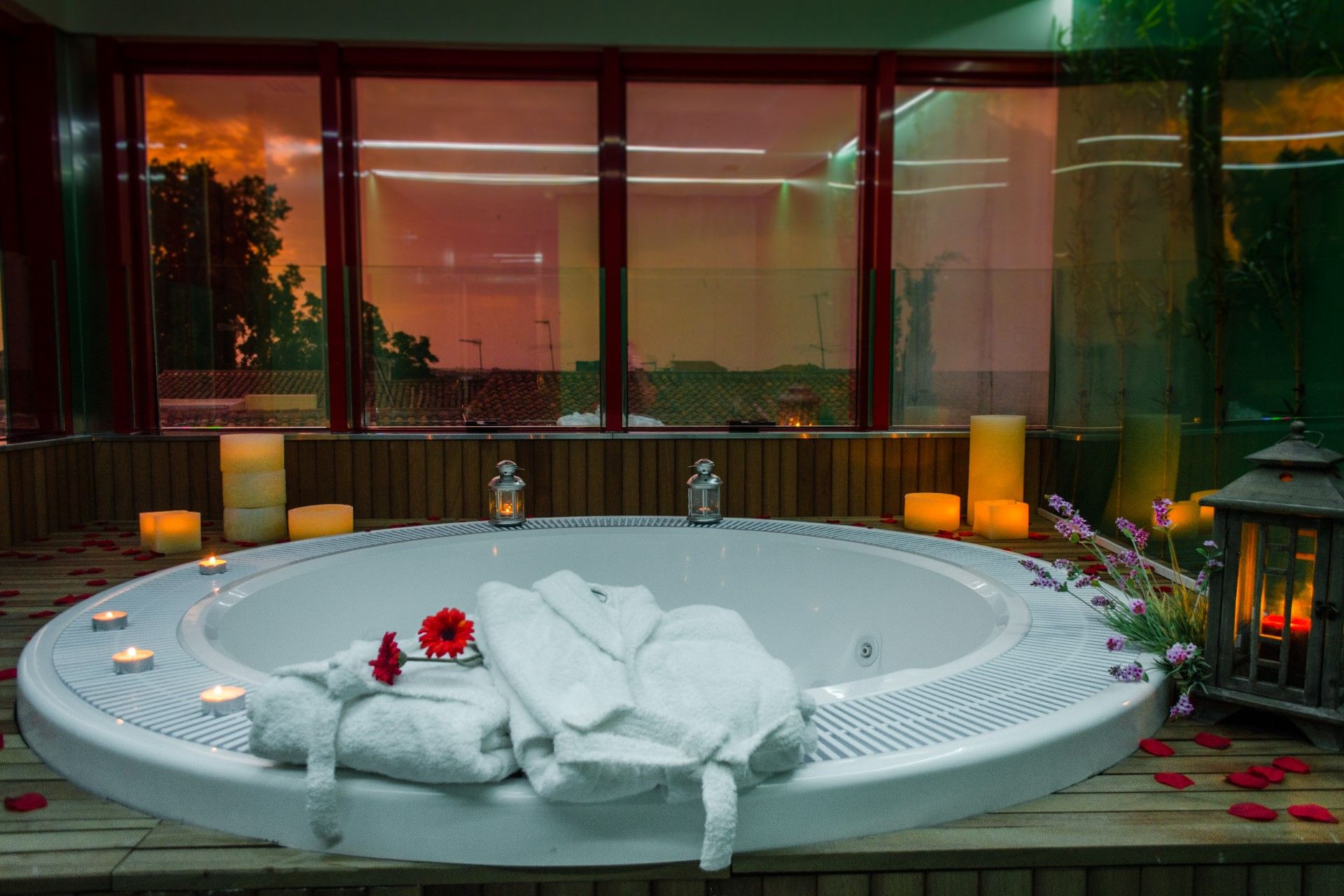 Wellness