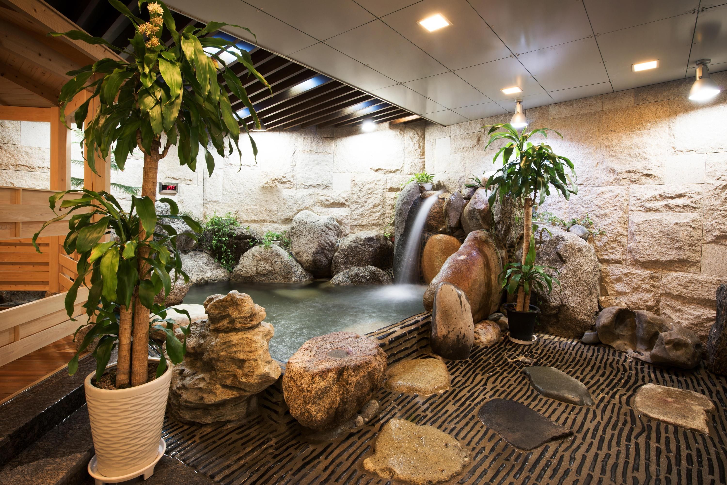 Wellness