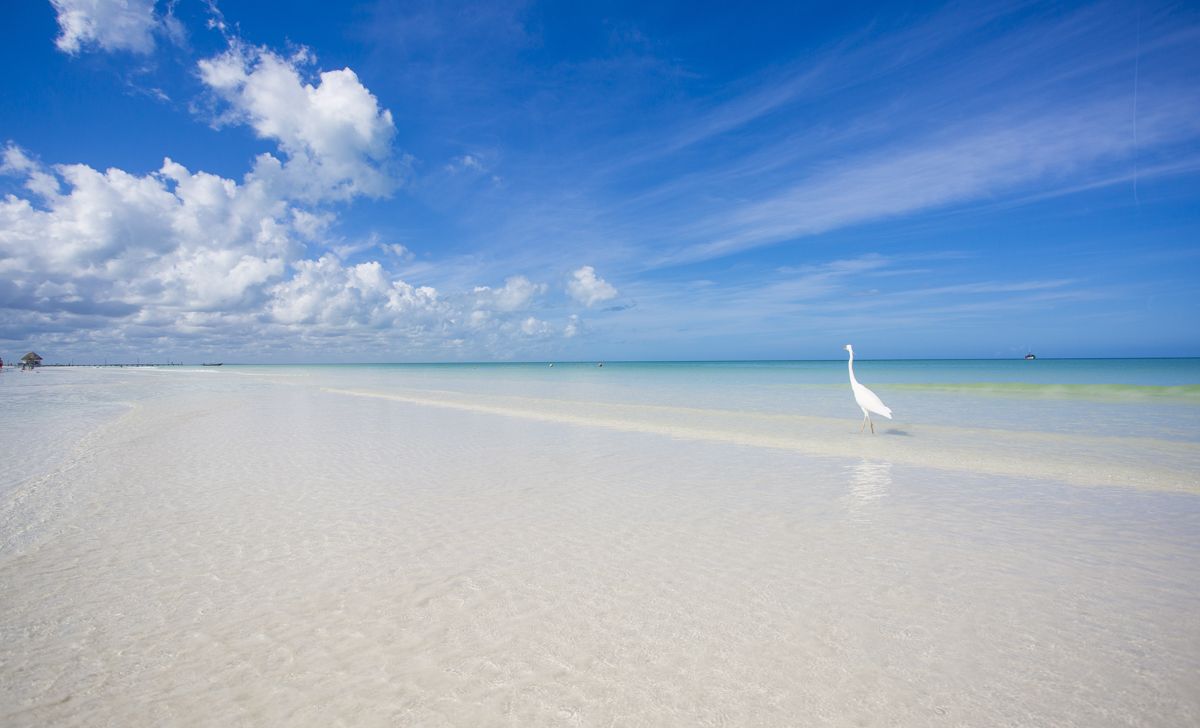Strand