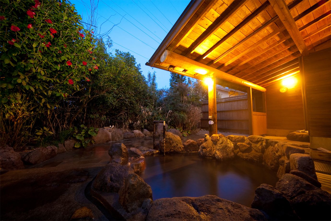 Wellness