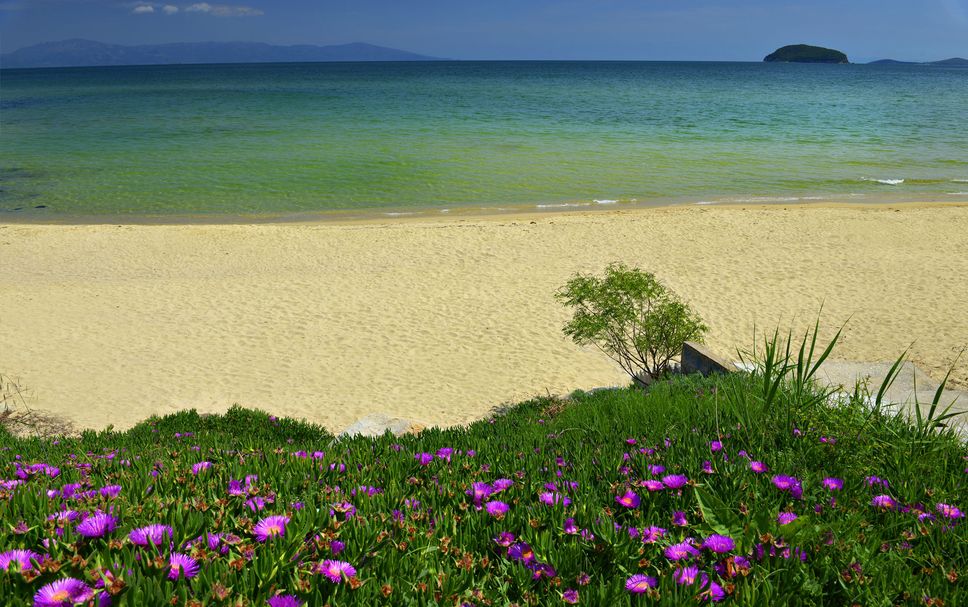 Strand Foto