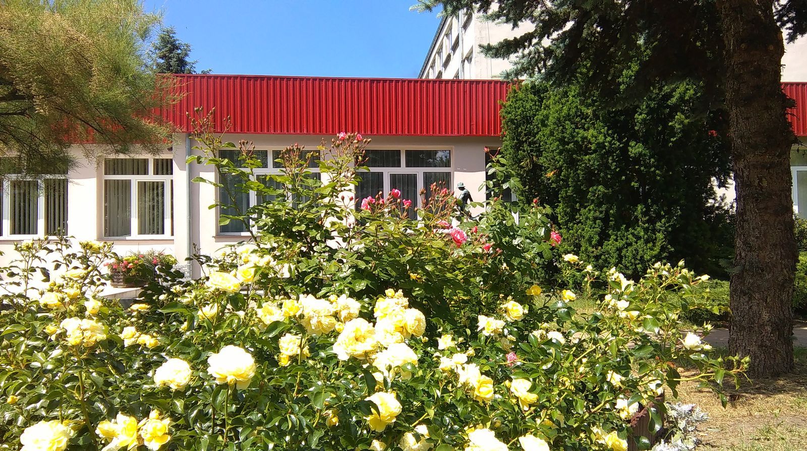 Außenansicht