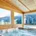 Wellness